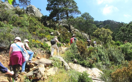 Alcornocales Natural Park walk